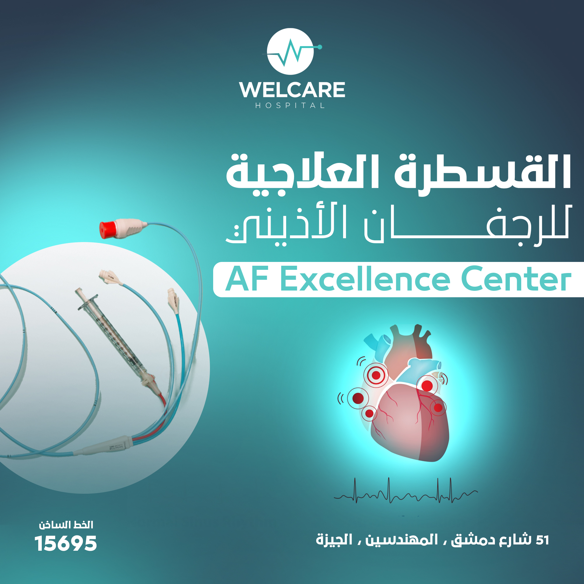 Therapeutic Catheterization for Atrial Fibrillation